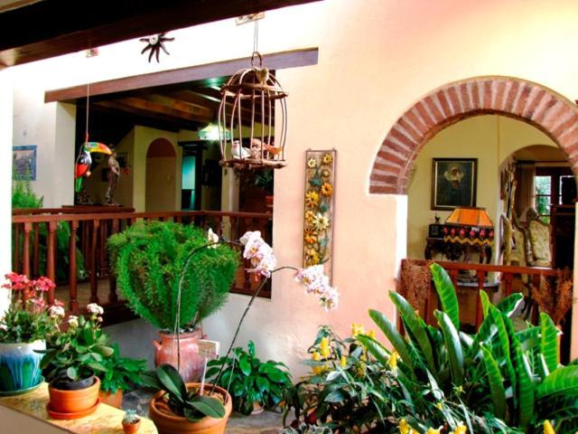 Hacienda El Pinar Del Viento Panzió Villa de Leyva Kültér fotó
